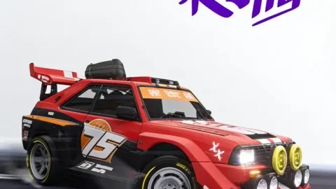 #Drive Rally